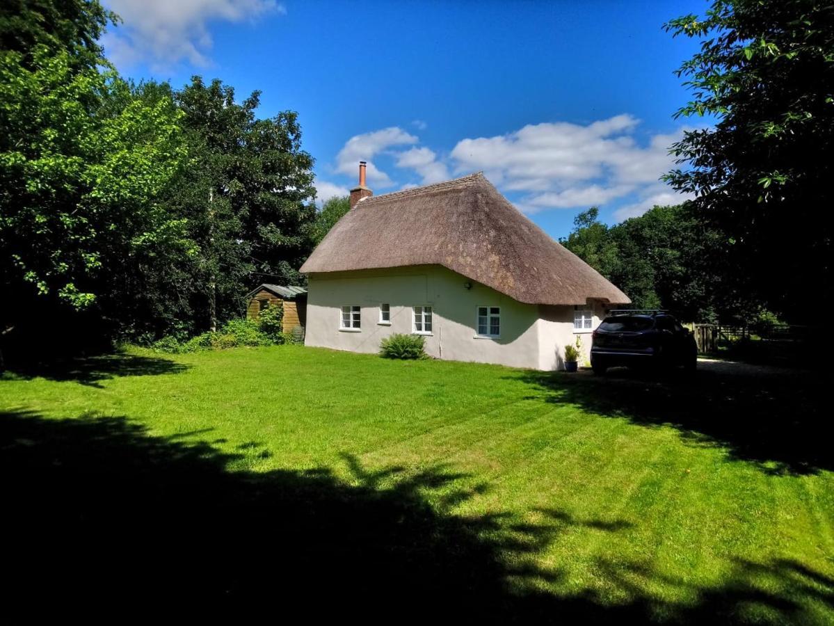 דורצ'סטר Honeysuckle Cottage מראה חיצוני תמונה